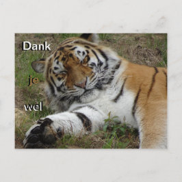 Vacker Tiger Tack Kort