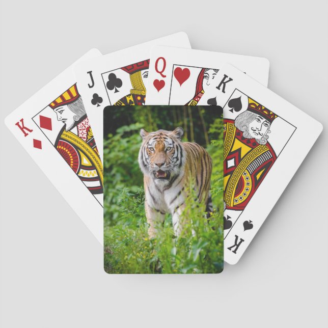 Vacker tigerlek med spelkort (Baksidan)