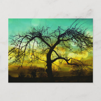 Vacker Träd Silhouette på Sunset Ombre Aqua Vykort