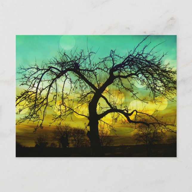 Vacker Träd Silhouette på Sunset Ombre Aqua Vykort (Framsida)