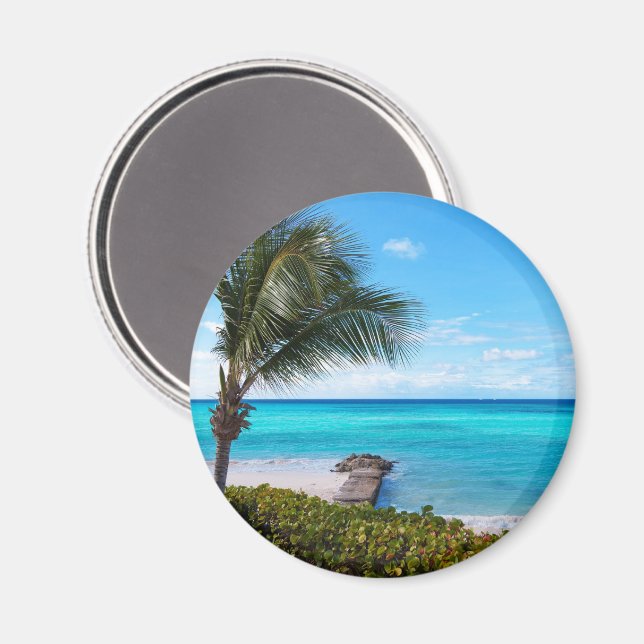 Vacker Tropisk Strand Blåsande Palmträd Magnet (Front/Back)