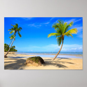 Vacker tropisk strand med handflatan träd poster