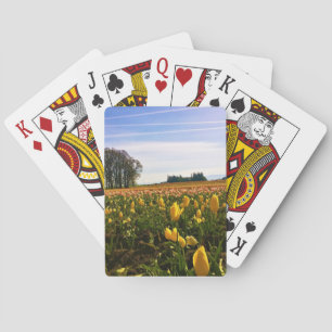 Vacker tulpanfält, Oregon Casinokort