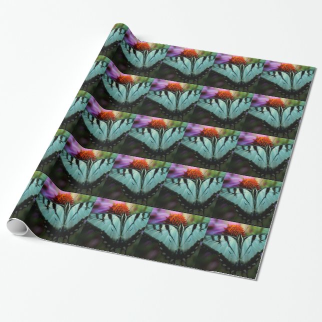 Vacker turkos Swallowtail Butterfly Presentpapper (Utrullad)