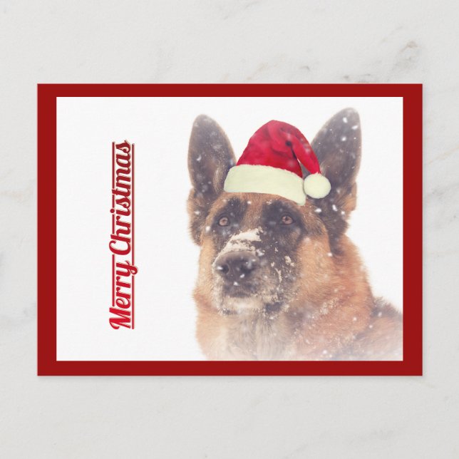 Vacker tysk schäferhund julpostkort helg vykort (Framsida)