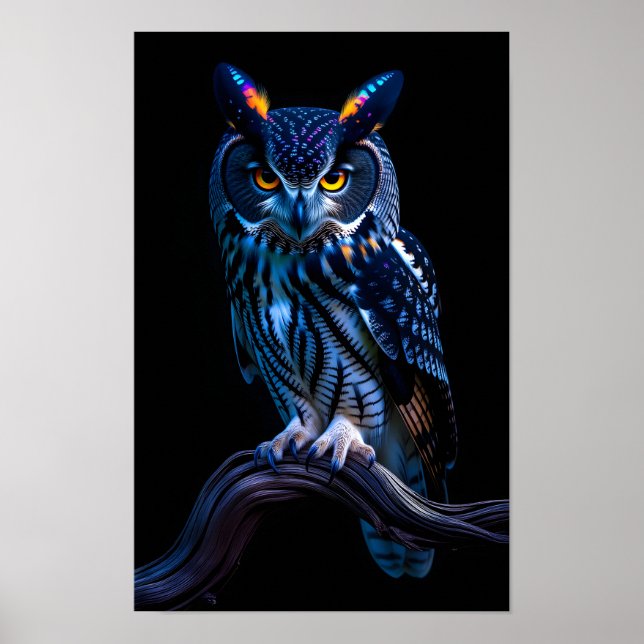 Vacker uggla poster (Framsidan)