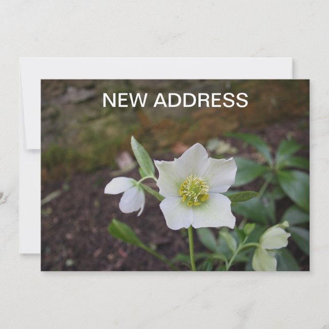 Vacker Vår Flower Ny adress Meddelande (Framsida)