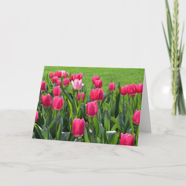 vacker vår rosa tulpan blommor glad födelsedag kort (Framsida)