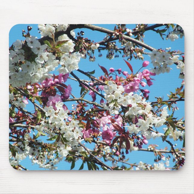 Vacker vår rosa, vit körsbärsblommar musmatta (Framsidan)