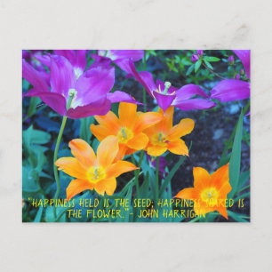 Vacker Vår Tulips Orange Lila vykort