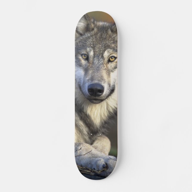 Vacker varg old school skateboard bräda 18 cm (Framsida)