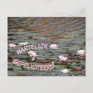 Vacker Vatten Lilies Gefeliciteerd Postcard Vykort