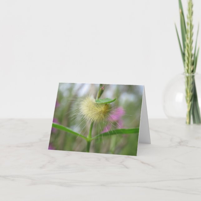 Vacker vattenpelare - kort för tom hälsning (Framsida)