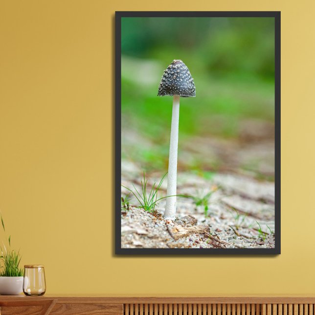 Vacker vild svamp i en höstlig åker poster (Skapare uppladdad)