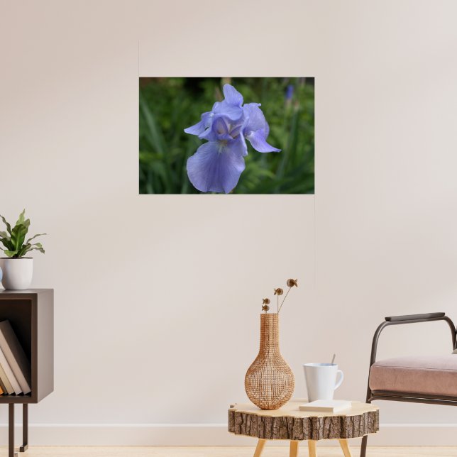 Vacker vinblå Iris-blomma Poster (Vardagsrum 3)