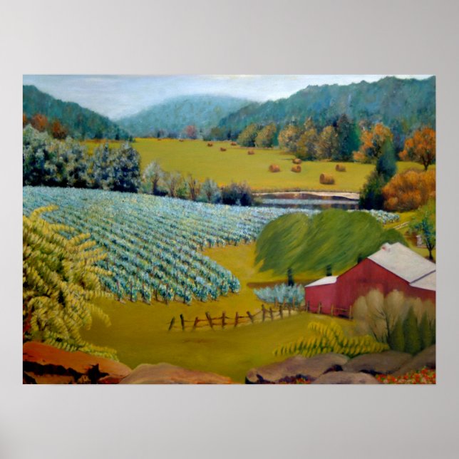 Vacker vingård på Augusta Missouri gård Poster (Framsidan)