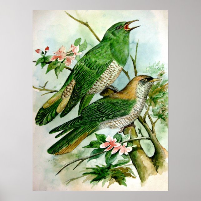 vacker vintage affisch-målning 27 poster (Framsidan)