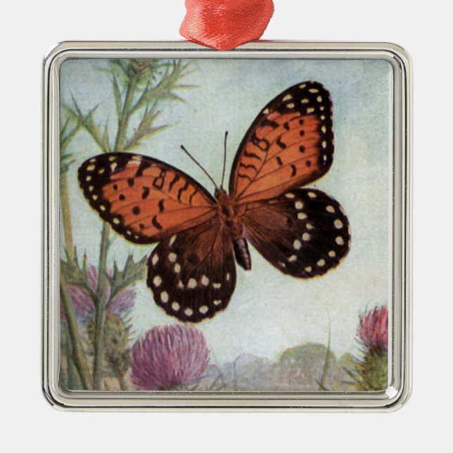 Vacker Vintage Monark Fjäril Ornament (Framsidan)