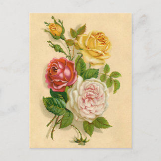 Vacker vintage-rosillustration vykort