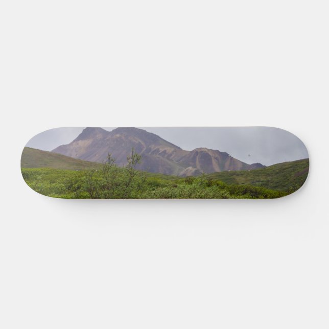 Vacker Virvel i Denali Skateboard Bräda 21,5 Cm (Horz)