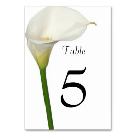 Vacker vit calla lily bröllop bordsnummer