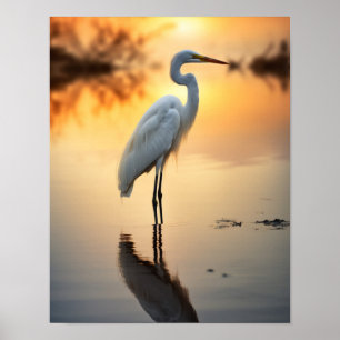 Vacker vit Egret-Ensam på Dawn Poster