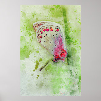 vacker vit fjäril på en stammålning poster
