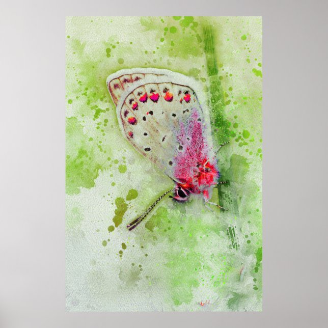 vacker vit fjäril på en stammålning poster (Framsidan)