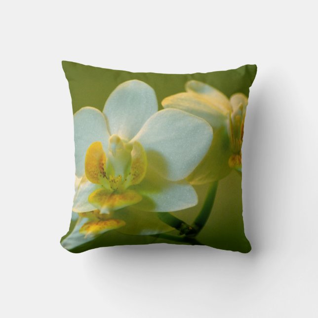 vacker vit orkidéblomma i grönt. Blomsterträdgård Kudde (Framsida)