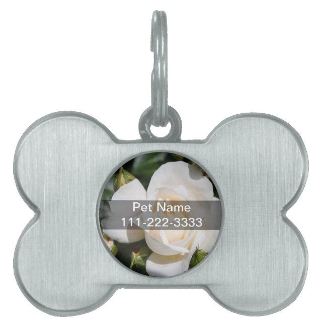 vacker vit rosblomma. kärlek och romantik ID-bricka husdjur (Framsidan)
