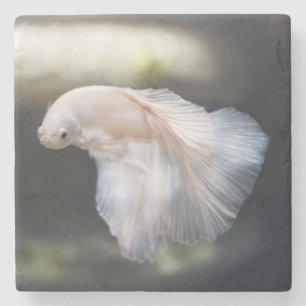 Vacker vit siamese Betta Fighting Fish Stenunderlägg