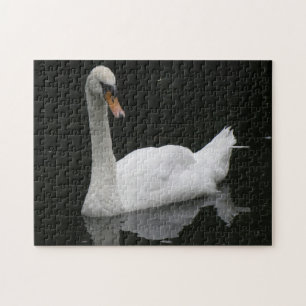 Vacker vit Svan Puzzle Pussel