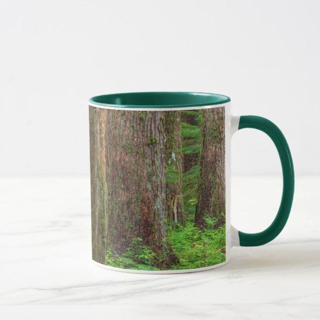 Vacker vy av gammal skog mugg (Höger)