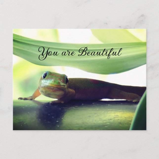 vacker vykort (Framsida)