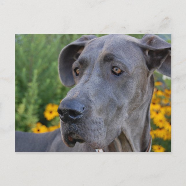 Vacker vykort (Framsida)