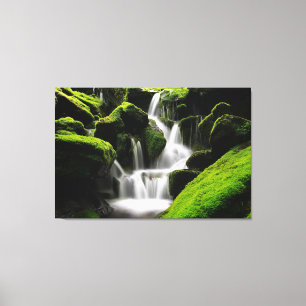 Vacker Waterfall Moss Sten Natur Fotografi Canvastryck