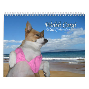 Vacker Welsh Corgi Calendar Kalender