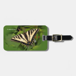 Vacker Western Tiger Swallowsvansen Butterfly Bagagebricka