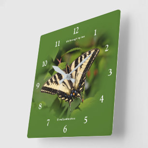 Vacker Western Tiger Swallowsvansen Butterfly Fyrkantig Klocka