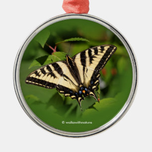Vacker Western Tiger Swallowsvansen Butterfly Julgransprydnad Metall