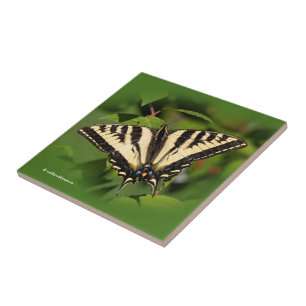 Vacker Western Tiger Swallowsvansen Butterfly Kakelplatta