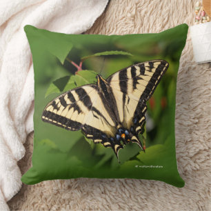 Vacker Western Tiger Swallowsvansen Butterfly Kudde