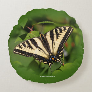 Vacker Western Tiger Swallowsvansen Butterfly Rund Kudde