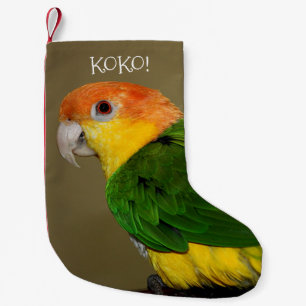 Vacker White Belllied Caique Parrot Posing Liten Julstrumpa