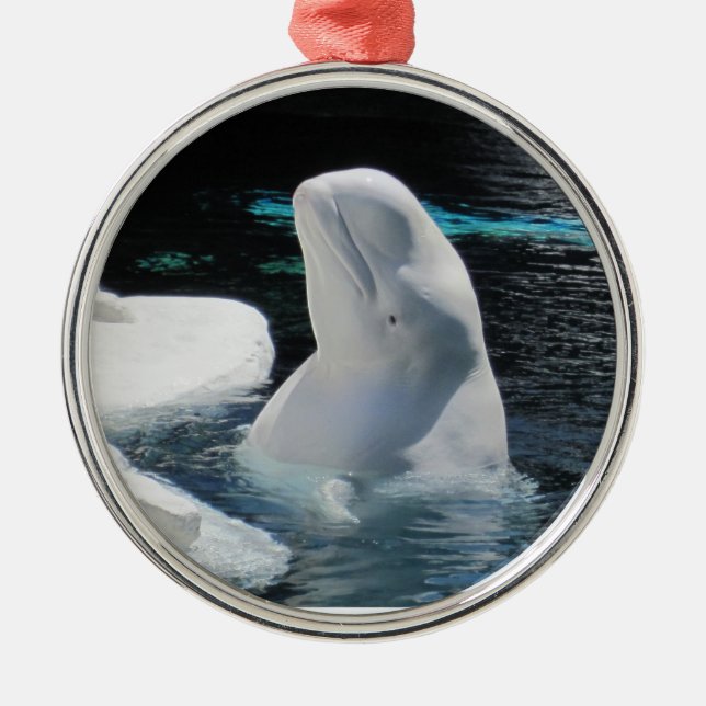 Vacker White Beluga Whale Julgransprydnad Metall (Framsidan)