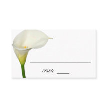 Vacker White Calla Lily Flat Bröllop