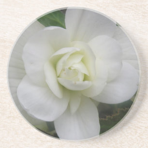 Vacker White Carnation Underlägg Sandsten