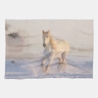 Vacker White Horse Galloping i Snö