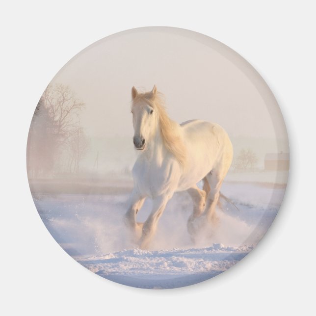 Vacker White Horse Galloping i Snö Magnet (Framsidan)