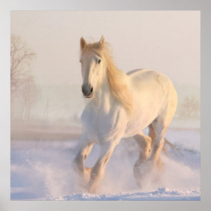 Vacker White Horse Galloping i Snö Poster
